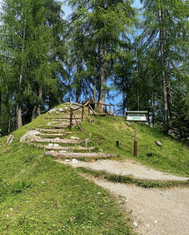 Отель Erjavceva Mountain Hut At Vrsic Pass Краньска Гора Экстерьер фото